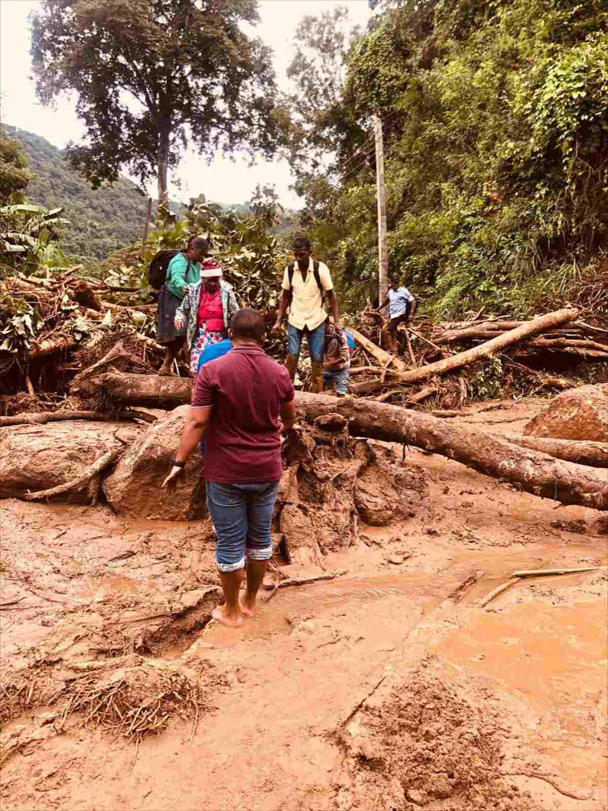 SriLanka_Ditwah_014_web Menschen stehen im Schlamm und versuchen umgestürzte Bäume zu umgehen.