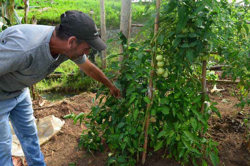 pfarreien_brasilien_DSC_0120_web_800